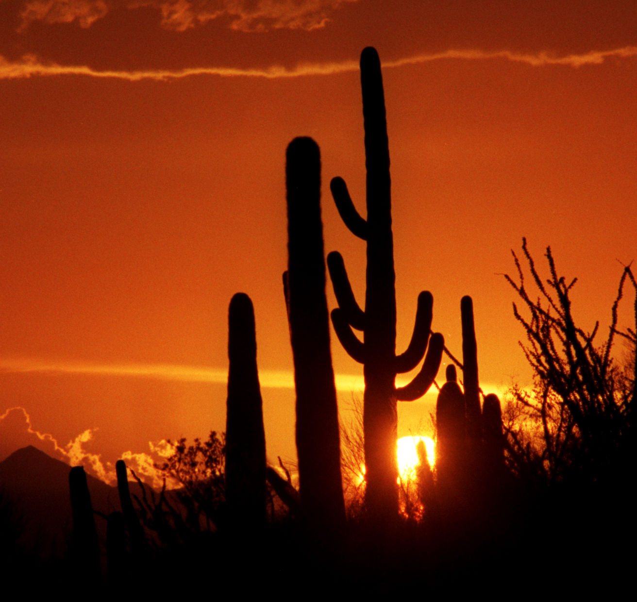 Sunset